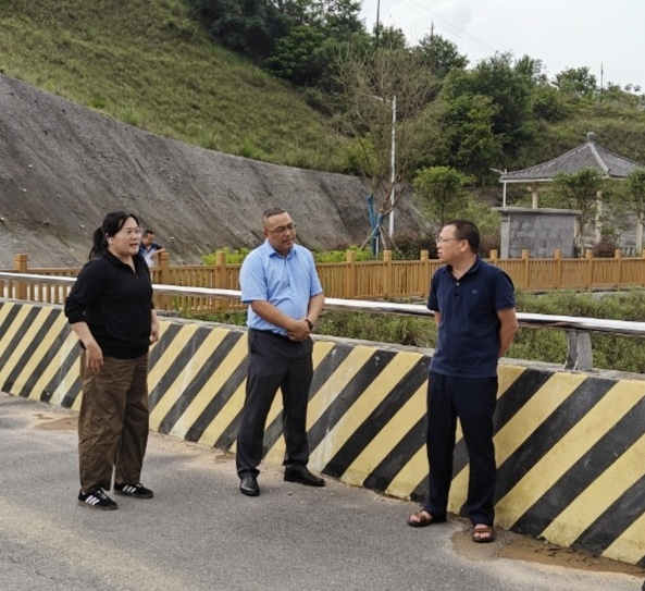区水利厅质监站检查组到都安县板岭水库项目检查指导